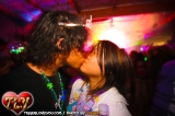 hp2_tigger_00638