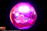 lovefest_ap_tigger_00635