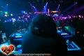 sin_tigger_01373