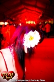 tao_froll_00025